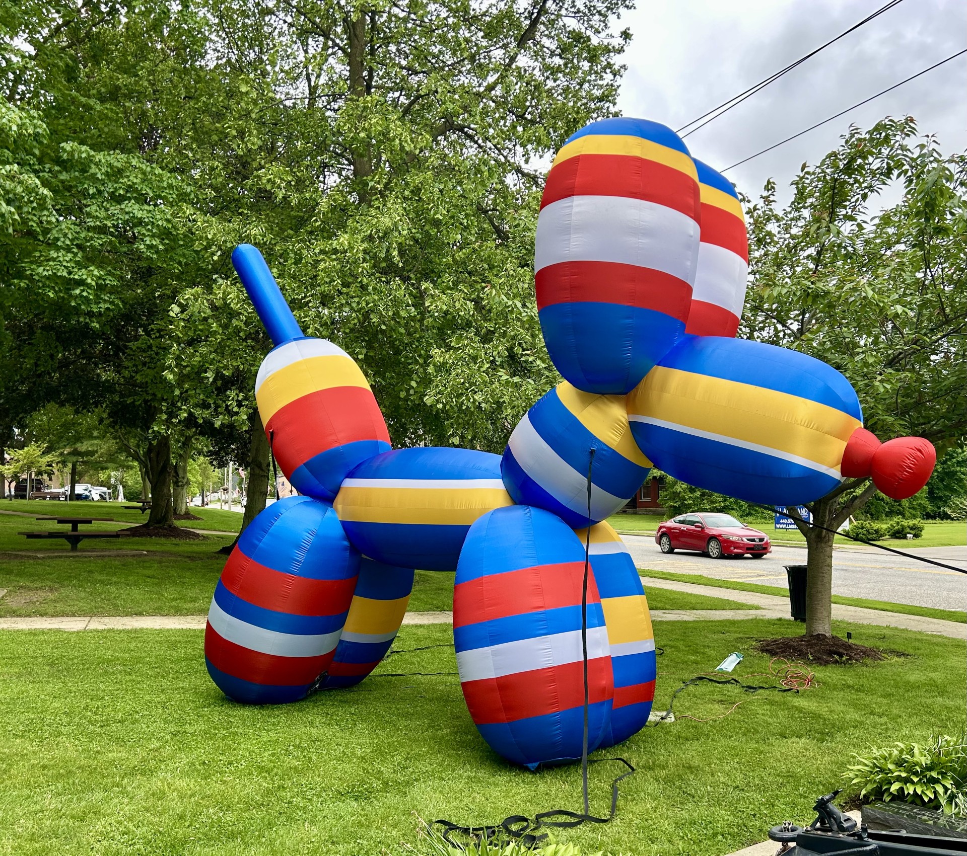 balloon-dog.jpg